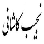 اشعار نجیب کاشانی