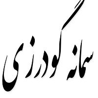 اشعار سمانه گودرزی